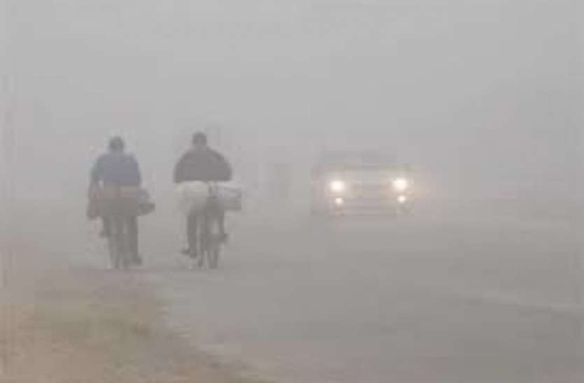कोहरे और गलन का दौर मैदानी इलाकों में जारी, नए साल में बारिश का भी अंदेशा कोहरे और गलन का दौर मैदानी इलाकों में जारी, नए साल में बारिश का भी अंदेशा