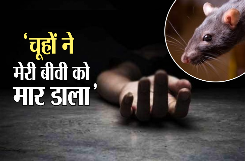 rat.png पत्नी की मौत पर पति का अजीब बयान, बोला- साहब चूहों ने ली पत्नी की जान, तफ्तीश जारी