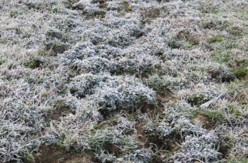 Weather update : चूरू ने तोड़ा 46 साल का दिसंबर का रिकॉर्ड Weather update : चूरू ने तोड़ा 46 साल का दिसंबर का रिकॉर्ड