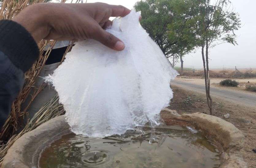 सर्दी का माइनस थर्ड डिग्री सितम जारी, सर्द हवाओं व कोहरे ने भी दिया साथ सर्दी का माइनस थर्ड डिग्री सितम जारी, सर्द हवाओं व कोहरे ने भी दिया साथ