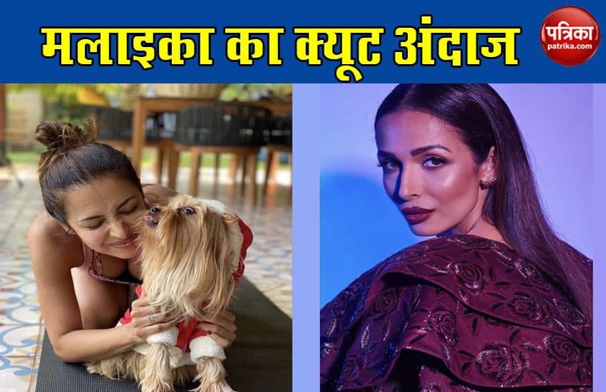 Actress Malaika Arora Shared Her Latest Pic With Cute Doggy