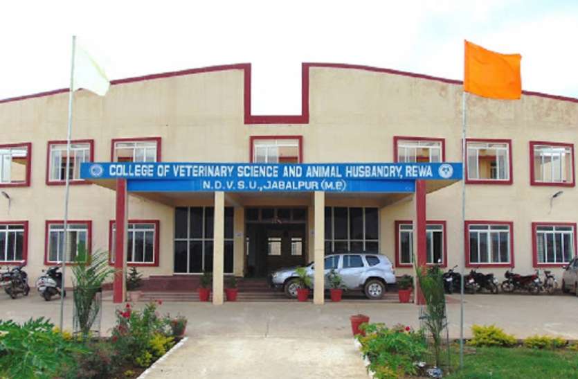 वेटनरी कॉलेज वेटनरी कॉलेज में बवाल के बाद बदला पीजी का परीक्षा पैटर्न