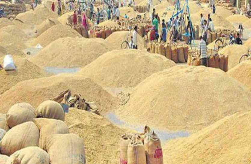 paddy.jpg धान खरीदी बंद होने के कगार पर, दर्जनभर उपार्जन केंद्रों में बारदाने की कमी