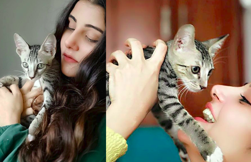 बॉलीवुड में हो रही इस बेहद खूबसूरत लड़की की एंट्री, रोचक है एक्ट्रेस की खोज की कहानी