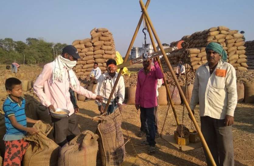 01_7.jpg धान खरीदी में गडबडी; बरसों से जमे 17 आपरेटर बदले गये