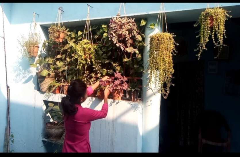 garden_news.jpg