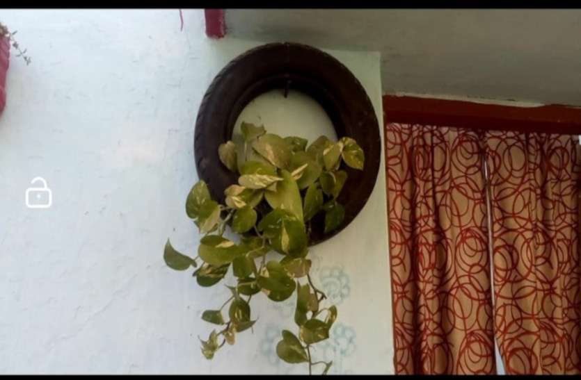 raipur_home_garden_news.jpg