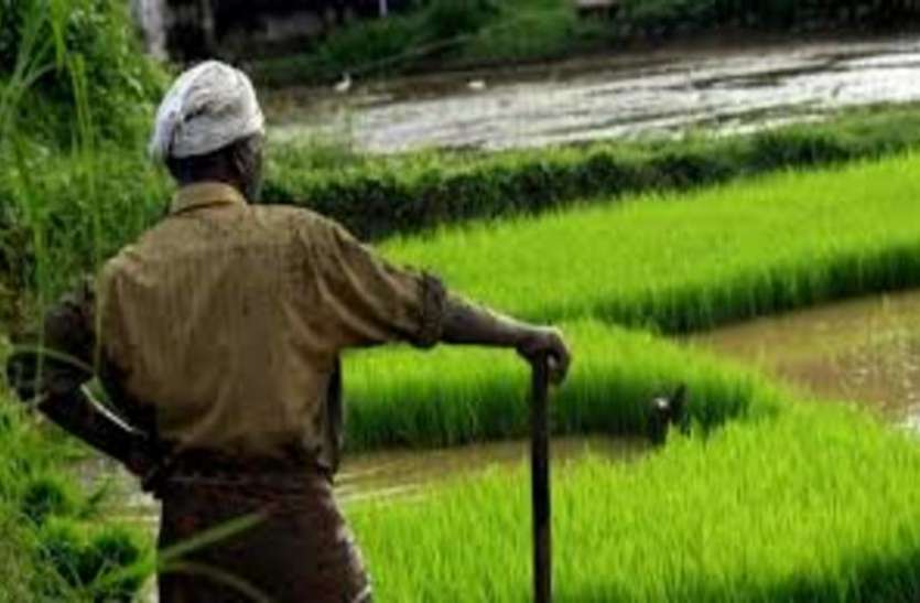 farmer1.jpeg किसानों के लिए आगे आई 23 साल की ये लड़की, इंस्टाग्राम पेज बनाकर फसल बिकवाने में कर रही मदद