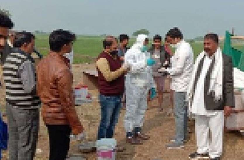 33 मृत मुर्गे-मुर्गियों को दफनाया 33 मृत मुर्गे-मुर्गियों को दफनाया