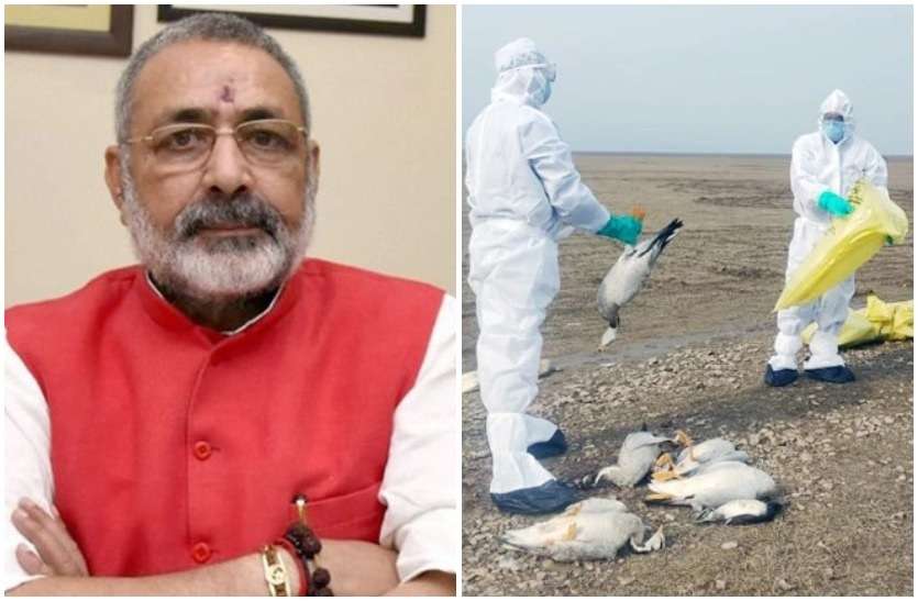 rajendra rathore letter to giriraj singh on bird flu in rajasthan केंद्रीय मंत्री गिरिराज सिंह तक पहुंचाई गई प्रदेश में बर्ड फ़्लू की स्थिति, शिकायतों के साथ की गई मांगे
