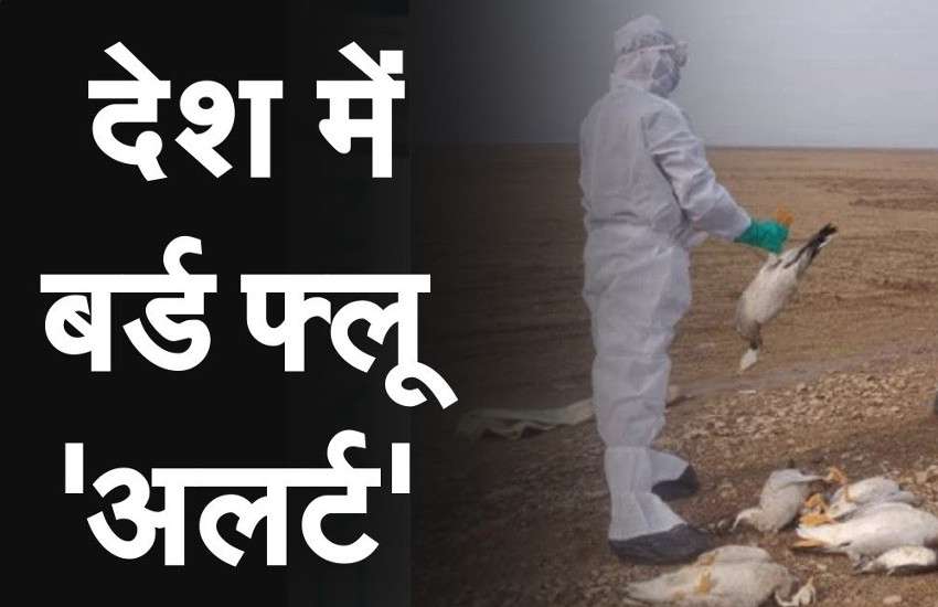 bird-flu.jpg