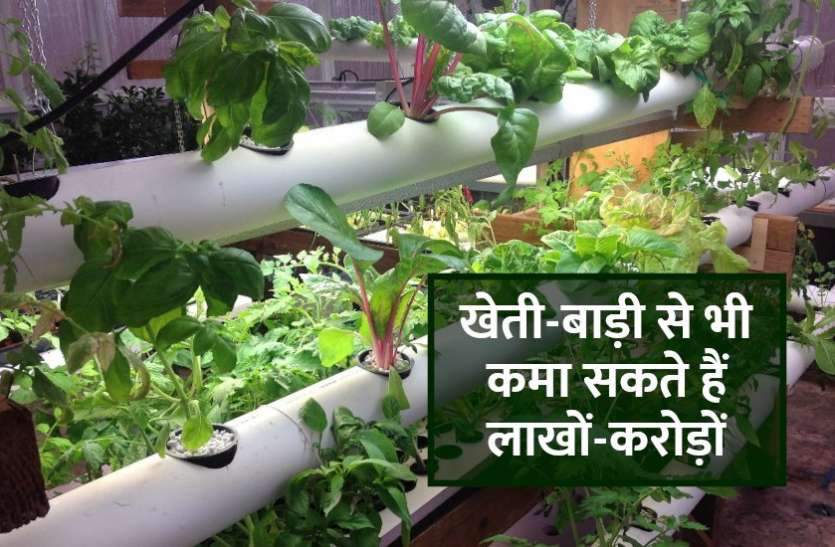 career_in_agriculture_field.jpg खेती-बाड़ी में कॅरियर बना कर कमा सकते हैं लाखों-करोड़ों, जानिए कैसे