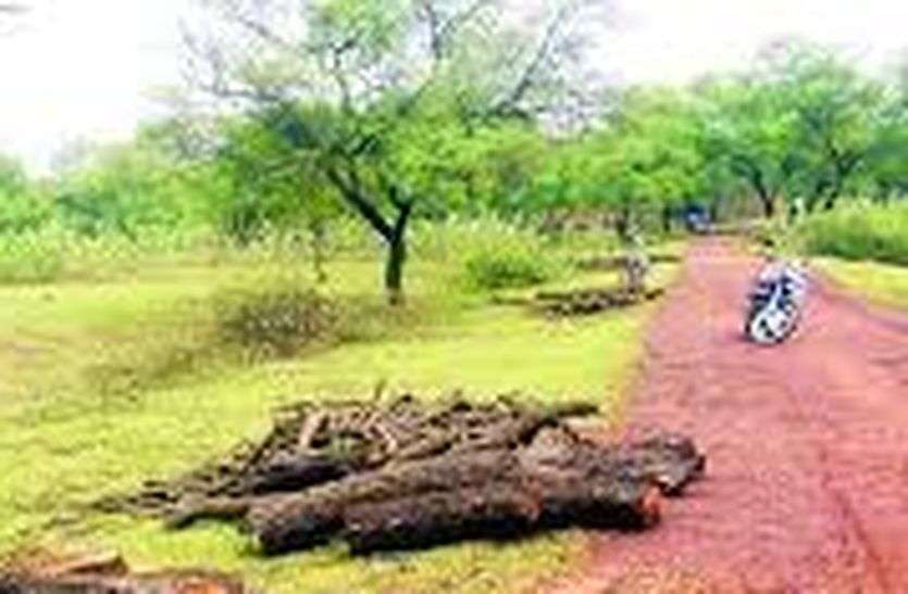 Tree Felling - वृक्षों की कटाई के खिलाफ अनिश्चितकालिन धरना प्रदर्शन Tree Felling - वृक्षों की कटाई के खिलाफ अनिश्चितकालिन धरना प्रदर्शन