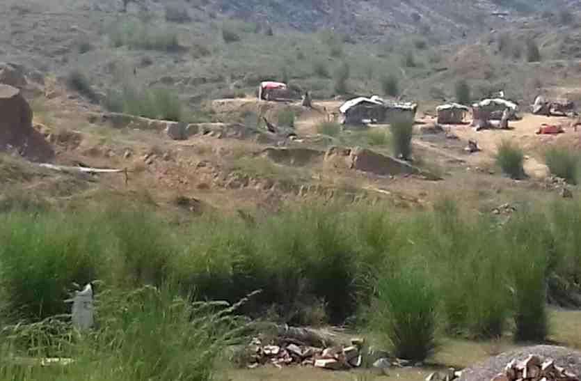 चारागाह भूमि पर अतिक्रमण, गोवंश की आफत चारागाह भूमि पर अतिक्रमण, गोवंश की आफत