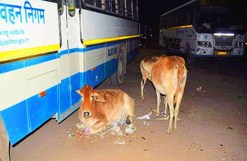 बस स्टैंड पर दुर्गंधयुक्त वातावरण से यात्री परेशान बस स्टैंड पर दुर्गंधयुक्त वातावरण से यात्री परेशान