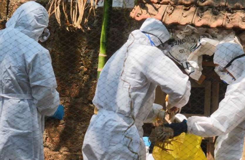 Bird Flu alert Bird Flu: केरल में आपदा घोषित, सात राज्यों में लाखों पक्षियों की मौत से मचा हड़कंप