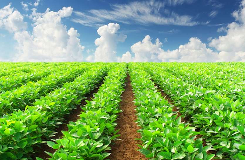 only one agricultural supervisor among 35 villages 35 गांवों के बीच एक कृ षि पर्यवेक्षक