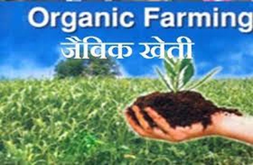 Organic farming 
