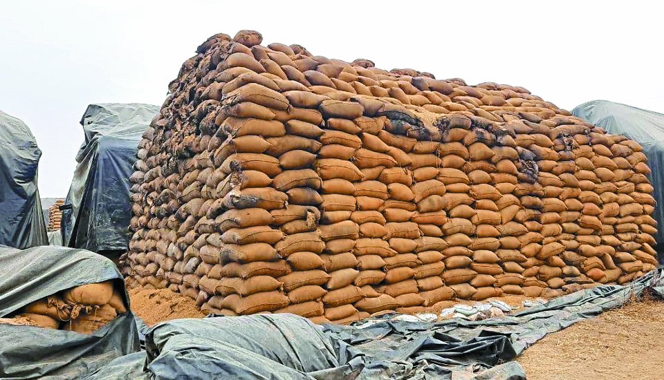 Non FAQ purchased 400 metric tons of paddy rejected, after investigation sent back to procurement centers