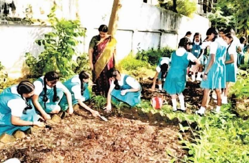 किचेन गार्डेन मनरेगा की कन्वर्जन राशि से बनेगा किचन गार्डेन
