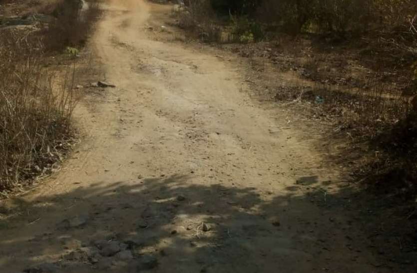 Baiga Debra, a tribal village settled in the middle of the forests, vi जंगलों के बीच बसा आदिवासी गांव बैगा डेबरा, मूलभूत सुविधाओं से वंचित ग्रामीण