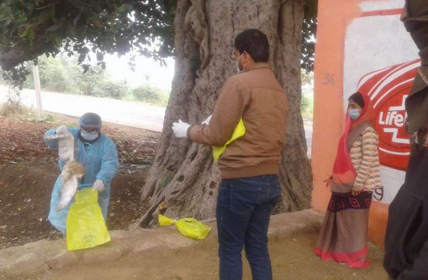 जिले में लगातार हो रही कौए व उल्लुओं की मौत ने बढ़ाई चिंता जिले में लगातार हो रही कौए व उल्लुओं की मौत ने बढ़ाई चिंता