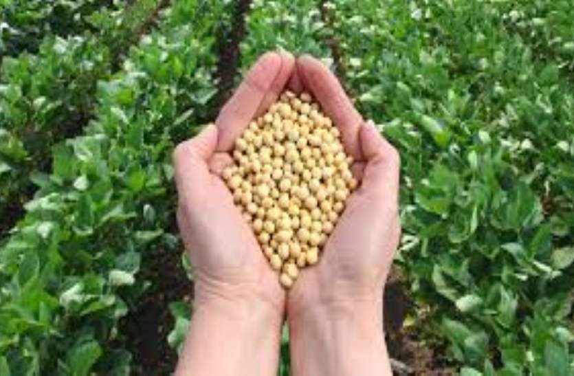 AGRI--नए साल में एग्रो प्रोसेसिंग देगी अर्थव्यवस्था को सहारा AGRI--नए साल में एग्रो प्रोसेसिंग देगी अर्थव्यवस्था को सहारा