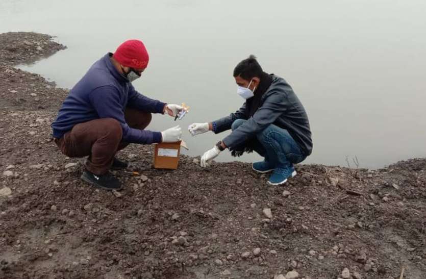 दो जलाशयों और तीन पॉल्ट्री फार्म से लिए 43 सैंपल दो जलाशयों और तीन पॉल्ट्री फार्म से लिए 43 सैंपल