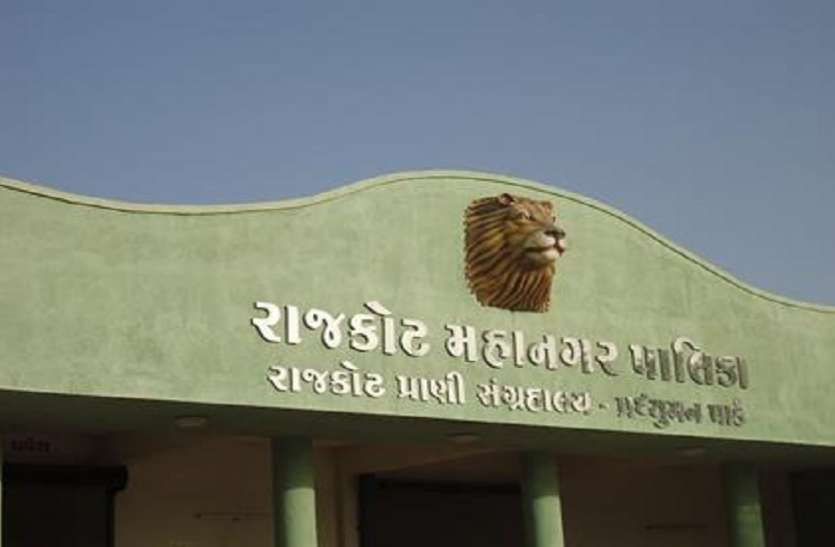 Ahmedabad News : बर्ड फ्लू की दहशत : राजकोट का प्रद्युमन पार्क जू का पक्षीघर बंद Ahmedabad News : बर्ड फ्लू की दहशत : राजकोट का प्रद्युमन पार्क जू का पक्षीघर बंद
