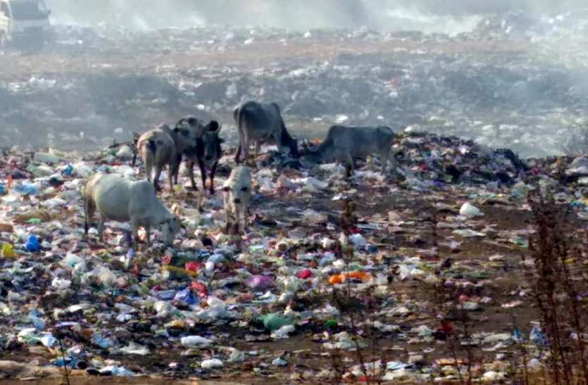नगर पालिका के ट्रेंचिंग ग्राउंड से ग्रामीणों को आपत्ति नगर पालिका के ट्रेंचिंग ग्राउंड से ग्रामीणों को आपत्ति