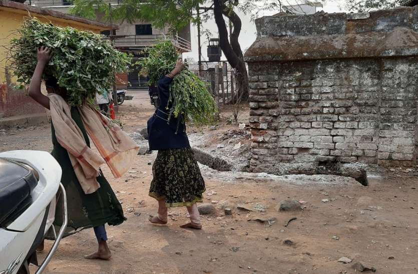 चंद पैसों के लिए पत्ती बेच रहा स्कूली बच्चों का बचपन, जानें वजह चंद पैसों के लिए पत्ती बेच रहा स्कूली बच्चों का बचपन, जानें वजह
