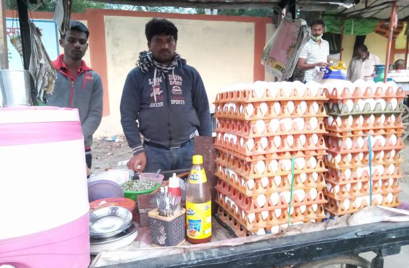 Chicken trade down after bird flu alert बर्ड फ्लू एलर्ट के बाद चिकन व्यापार मंदा