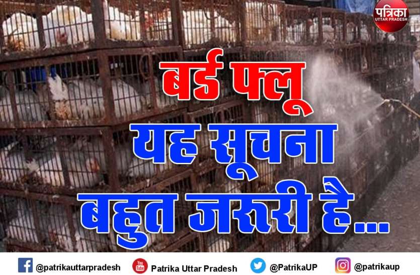 बर्ड फ्लू से बचने के उपाय, क्या करें, क्या न करें बर्ड फ्लू से बचने के उपाय, क्या करें, क्या न करें