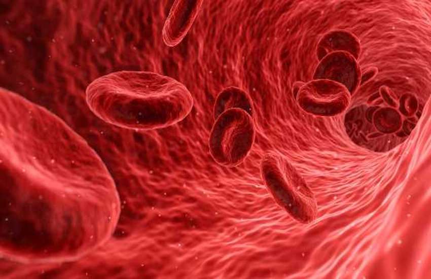 Sources of Iron: आयरन लेवल बढ़ाने के लिए आज से ही अपने डाइट में शामिल करें यह चीजें