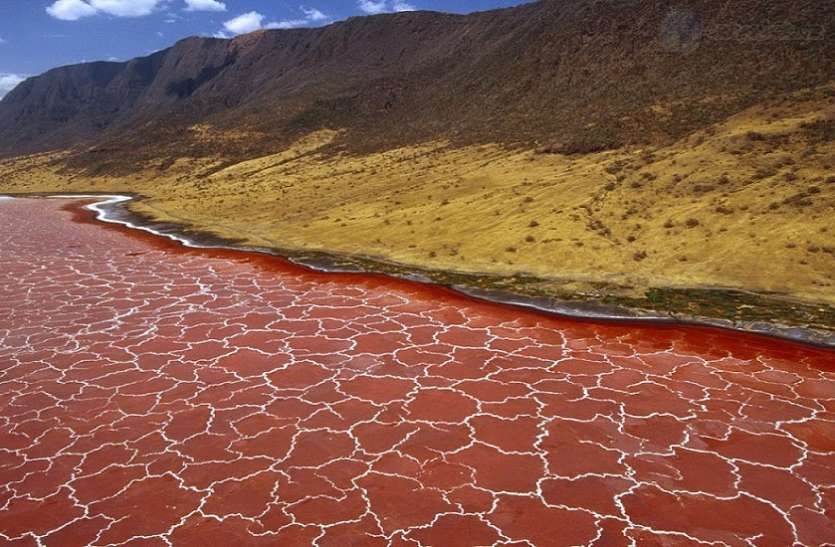 Lake of Northern Tanzania इस जादुई झील के पानी को छूते ही बन जाते है पत्थर में, जानिए इसके पीछे का रहस्य