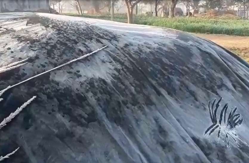 rajasthan_weather_today.jpg Rajasthan Weather Update: इस सप्ताह छाया रहेगा कोहरा, जानिए क्या बारिश होगी