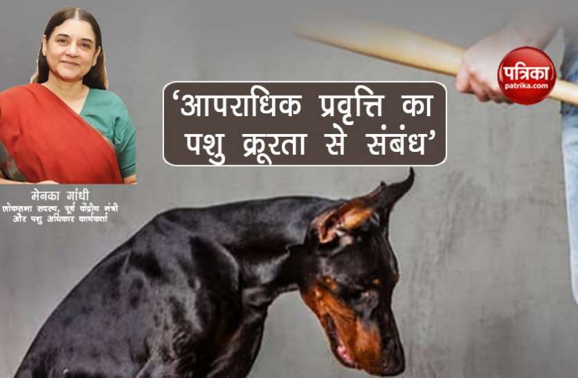 'आपराधिक प्रवृत्ति का पशु क्रूरता से संबंध' 'आपराधिक प्रवृत्ति का पशु क्रूरता से संबंध'