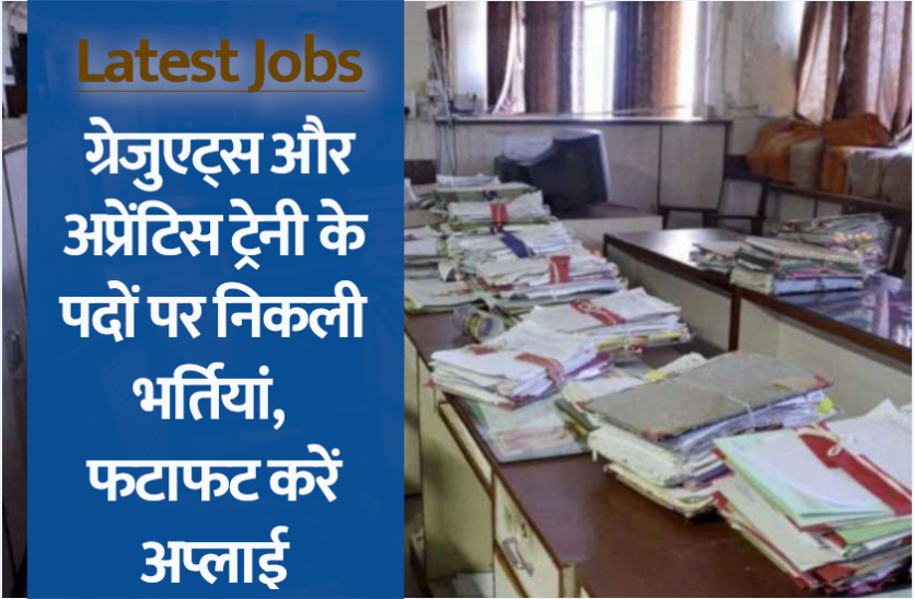 mppgcl.png MPPGCL Recruitment 2021: ग्रेजुएट्स और अप्रेंटिस ट्रेनी के पदों पर निकली भर्तियां, फटाफट करें अप्लाई