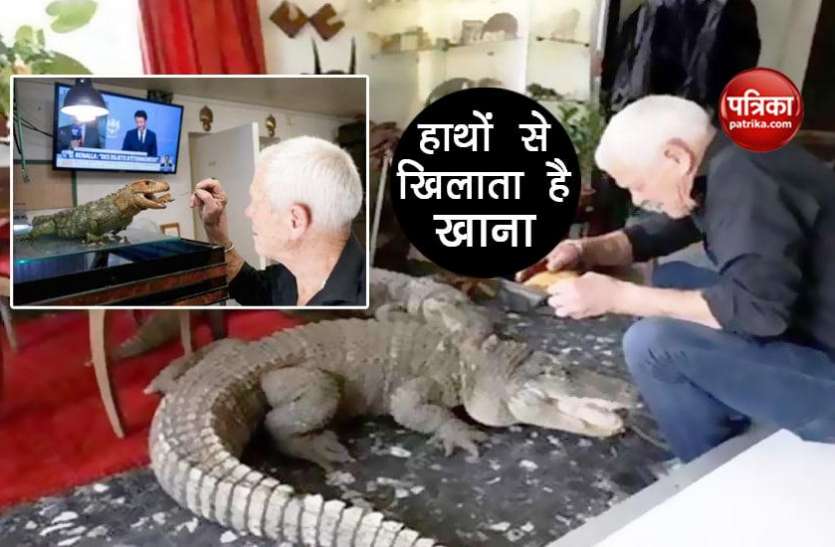 frenchman Philippe gillette 400 खूंखार जीवों के साथ घर पर रहता है ये शख्स, हाथ से खिलाता है खाना