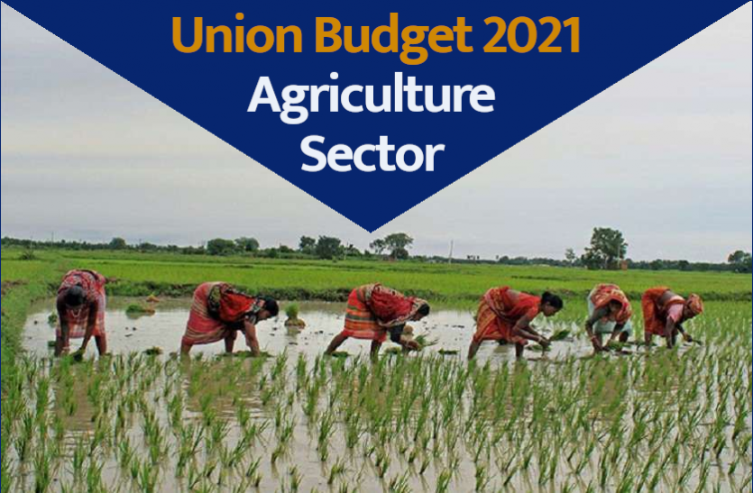 Union Budget 2021 Expectations In Agriculture Sector - Budget 2021: किसानों को इस बार के बजट में ...