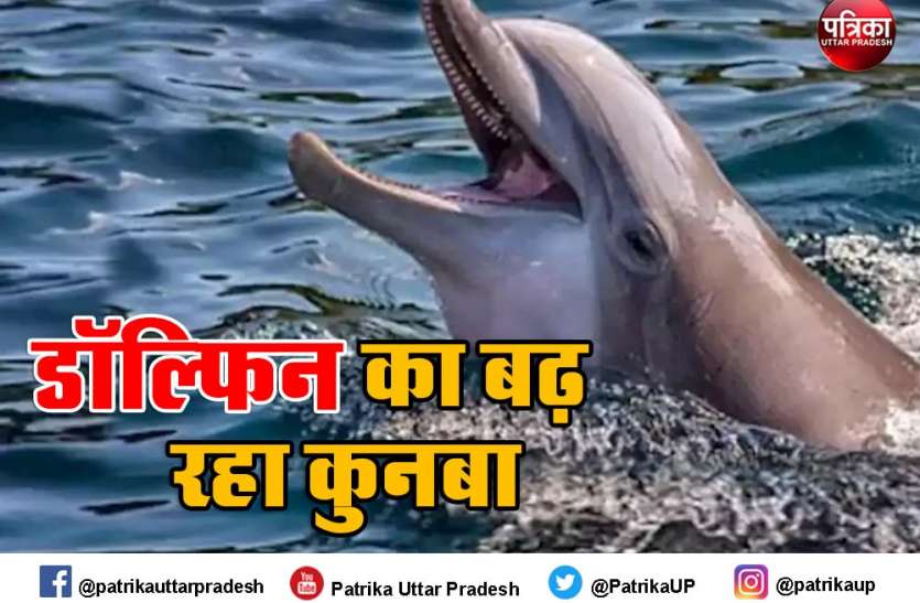 UP Top News : गंगा की तरह चंबल में भी अठखेलियां करने लगी हैं डॉल्फिन, यूपी में हुकुम सिंह नेगी को लगी पहली वैक्सीन UP Top News : गंगा की तरह चंबल में भी अठखेलियां करने लगी हैं डॉल्फिन, यूपी में हुकुम सिंह नेगी को लगी पहली वैक्सीन