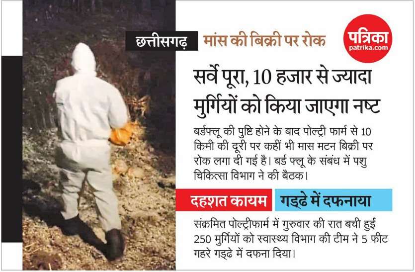 बर्ड फ्लू: छत्तीसगढ़ के बालोद जिले में 10 हजार से ज्यादा मुर्गियों को किया जाएगा नष्ट, मांस बिक्री पर लगी रोक Bird Flu: छत्तीसगढ़ के बालोद जिले में 10 हजार से ज्यादा मुर्गियों को किया जाएगा नष्ट, मांस बिक्री पर लगी रोक