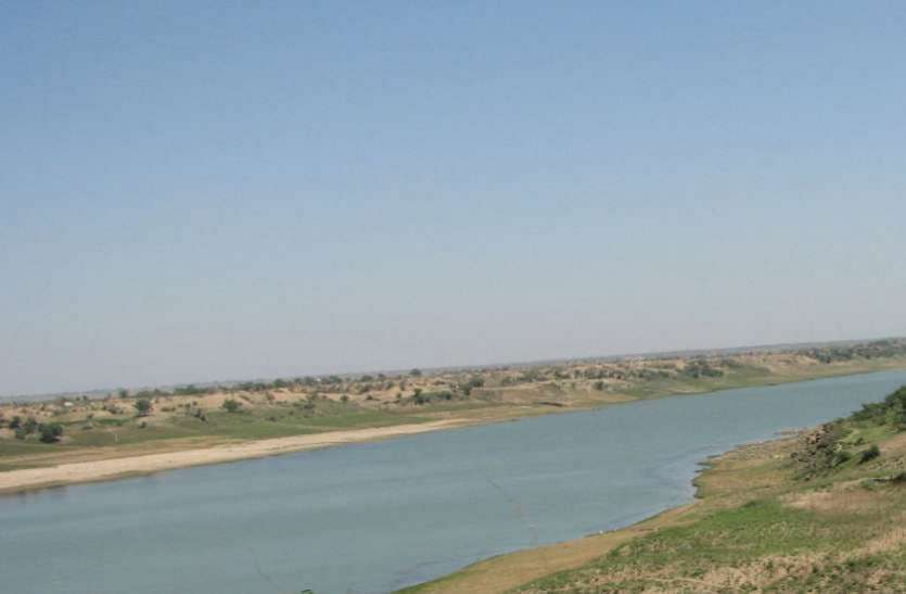 फरवरी में होगी घडिय़ाल और जलीय जीवों की गणना फरवरी में होगी घडिय़ाल और जलीय जीवों की गणना
