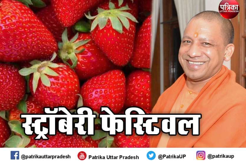 स्ट्रॉबेरी फेस्टिवल: दलहन, तिलहन और अदरक के बाद अब स्ट्राबेरी बनेगी बुंदेलखंड की नई पहचान स्ट्रॉबेरी फेस्टिवल: दलहन, तिलहन और अदरक के बाद अब स्ट्राबेरी बनेगी बुंदेलखंड की नई पहचान
