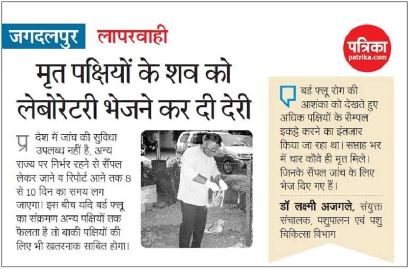 Avian Influenza : बस्तर में कौवे व कबूतर और दंतेवाड़ा में कौवे में बर्ड फ्लू की पुष्टि Avian Influenza : बस्तर में कौवे व कबूतर और दंतेवाड़ा में कौवे में बर्ड फ्लू की पुष्टि