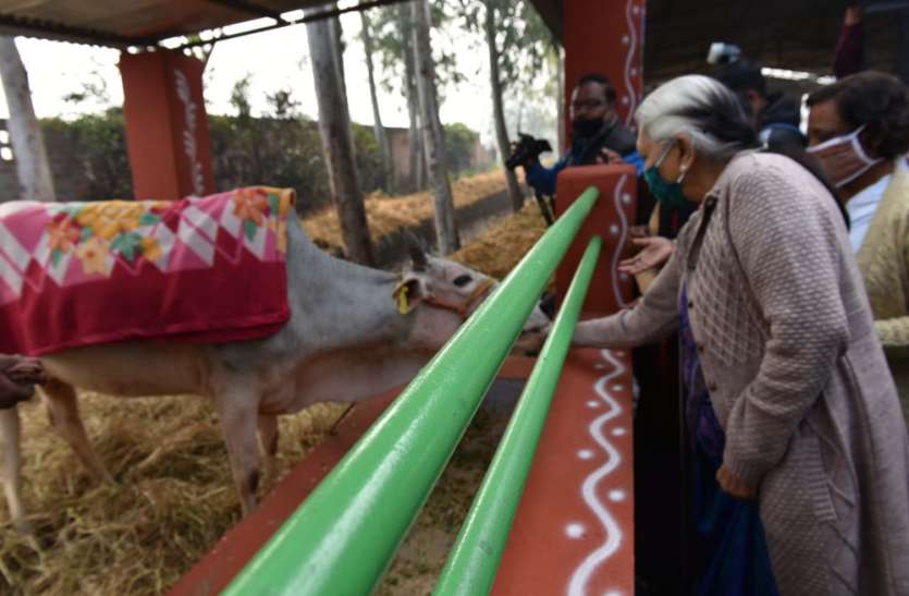 राज्यपाल ने आश्रम में पौधा भी रोपित भी किया। गोल्डेन कार्ड का लाभ अभियान चलाकर पात्रों को उपलब्ध कराएं-राज्यपाल