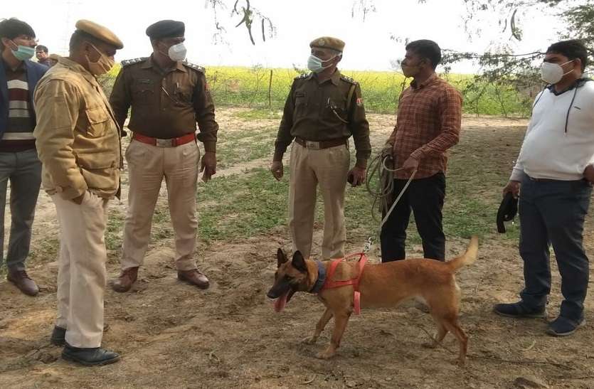 सरसों के खेत में मिला युवती का शव, गला घोंटकर की हत्या सरसों के खेत में मिला युवती का शव, गला घोंटकर की हत्या