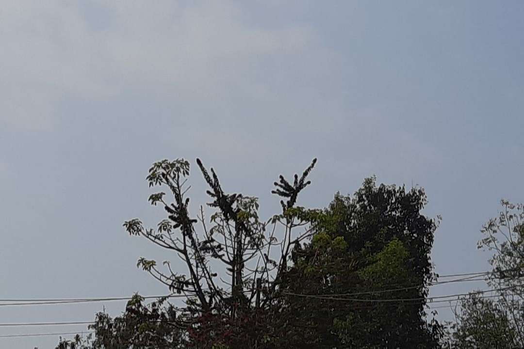 बदला मौसम का मिजाज 