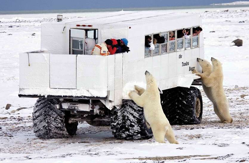 CLIMATE DISASTER : जानिए, जलवायु परिवर्तन ने कैसे छीनी पर्यटन स्थलों की रौनक CLIMATE DISASTER : जानिए, जलवायु परिवर्तन ने कैसे छीनी पर्यटन स्थलों की रौनक