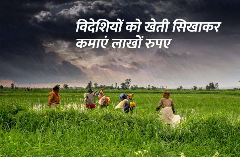 Motivational Story Of Prem Singh Farmer Indian Agriculture ख त स कम ए ल ख र पए अब व द श य क द रह ह ट र न ग Patrika News